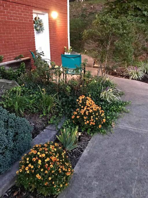 Hilltop Hideaway - 3Bdr In Downtown London, Ky المظهر الخارجي الصورة