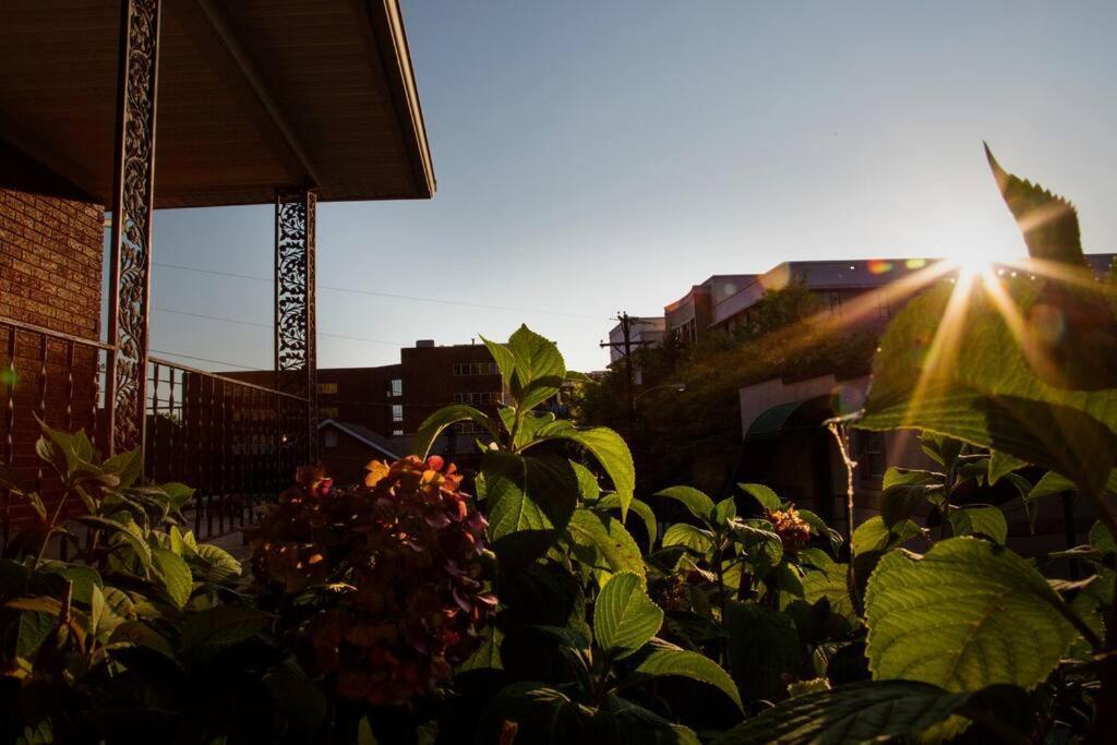 Hilltop Hideaway - 3Bdr In Downtown London, Ky المظهر الخارجي الصورة